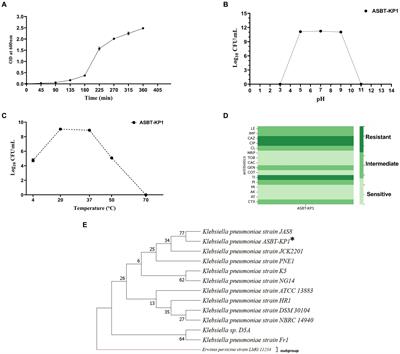 Alleviating arsenic stress affecting the growth of Vigna radiata through the application of Klebsiella strain ASBT-KP1 isolated from wastewater